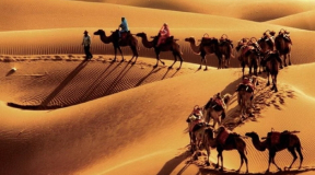 «На одних куриных лапках далеко не уедешь». Даже по Шелковому пути