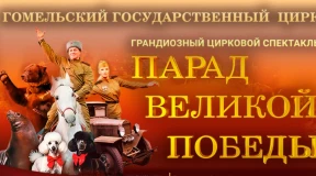 Как в гомельском цирке одержали победу над здравым смыслом