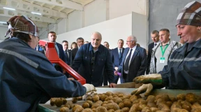 «До воплощения КВНовской шутки про перебор картошки по телефону: «Хорошая… хорошая… плохая…» — осталось всего ничего»