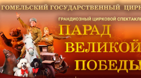 Как в гомельском цирке одержали победу над здравым смыслом