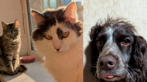 «Калі ўначы пачынаецца атака, то ў першую чаргу глядзіць на нас — рэагуем ці не»