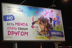 Фотофакт. В Минске призывают брать собак из приютов (фото, видео)