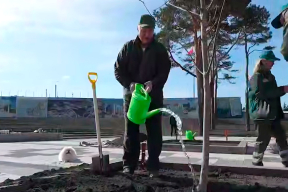 Фотофакт. Лукашенко с Умкой и Колей занялись посадками