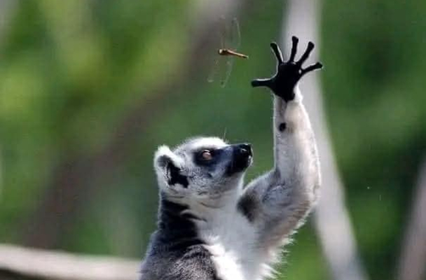 Брухан: «Людям не нравится, когда их держат в ежовых рукавицах, но при этом ничего не дают взамен»