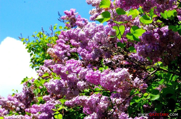 «Люди уже будто надрессированные, понимаете? Мыслящим – обсудить почти не с кем»