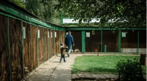 «Свинью зарезали средь бела дня». В Бресте закрывают уголок живой природы