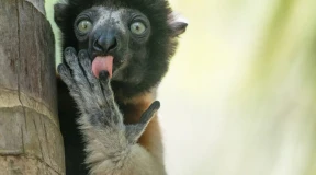 Как министр Марков не дал беларусам дискриминировать русский язык