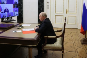 «Элита России начинает понимать, что «кот мышей не ловит»