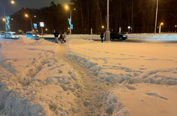 Тесакова: «Что творится в городах поменьше, если в Минске не хватает средств, чтобы всем сотрудникам выдать по лопате»